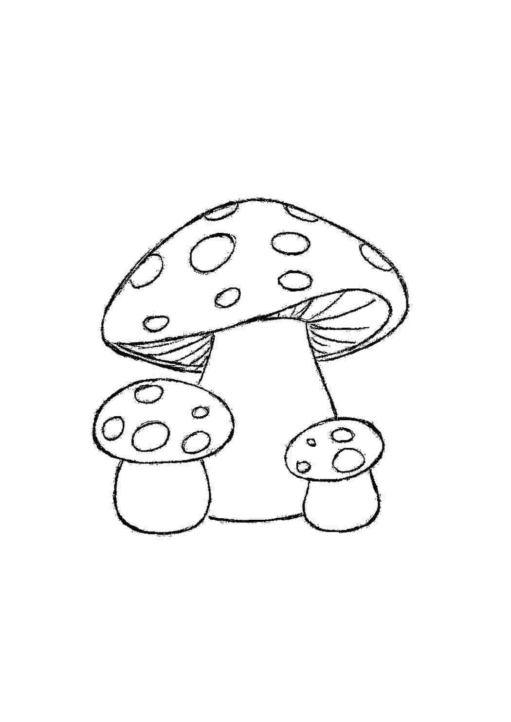 Мухомор акварелью