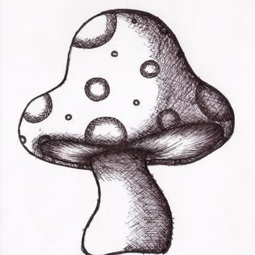 Грибы референс мухомор