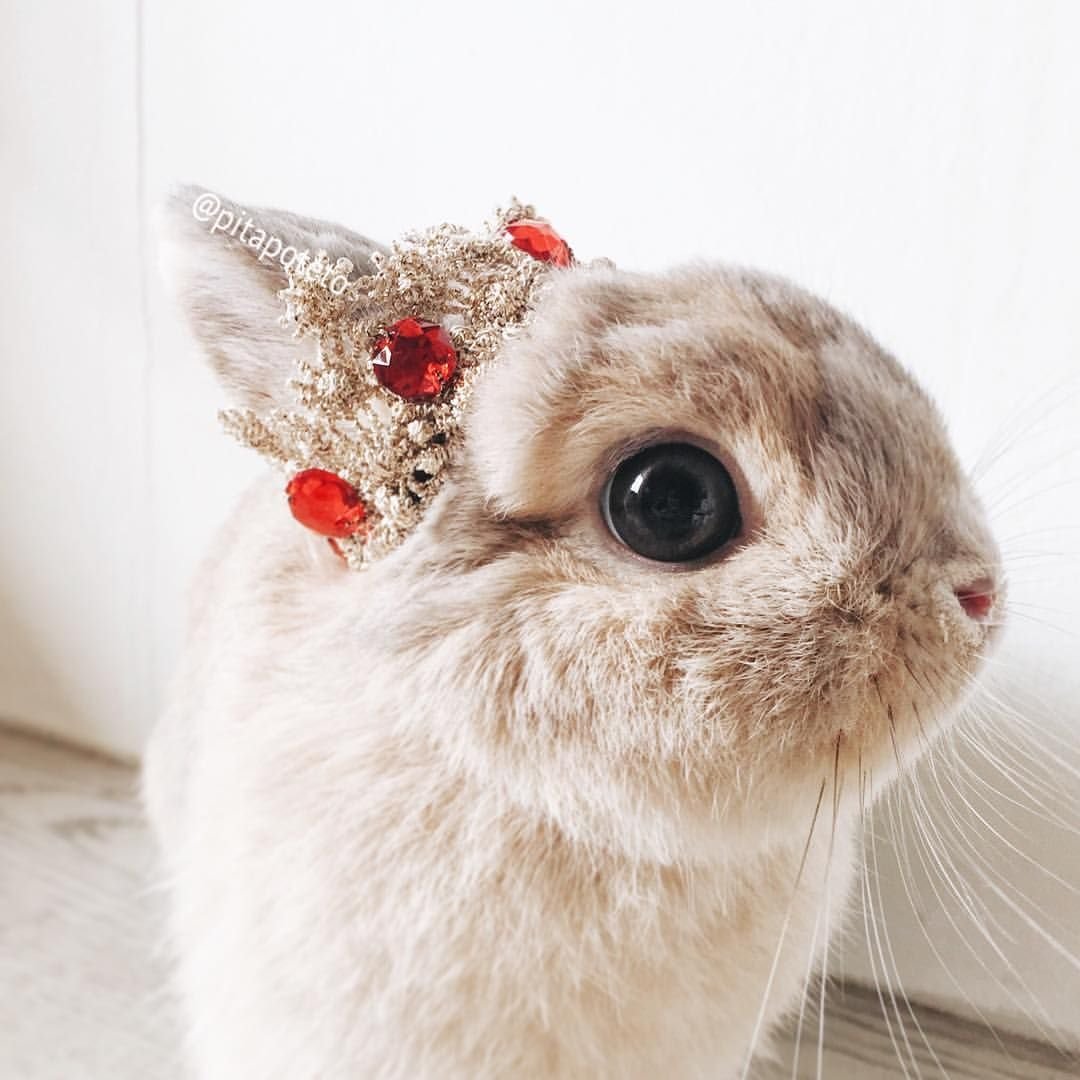 Маска зайца для детей