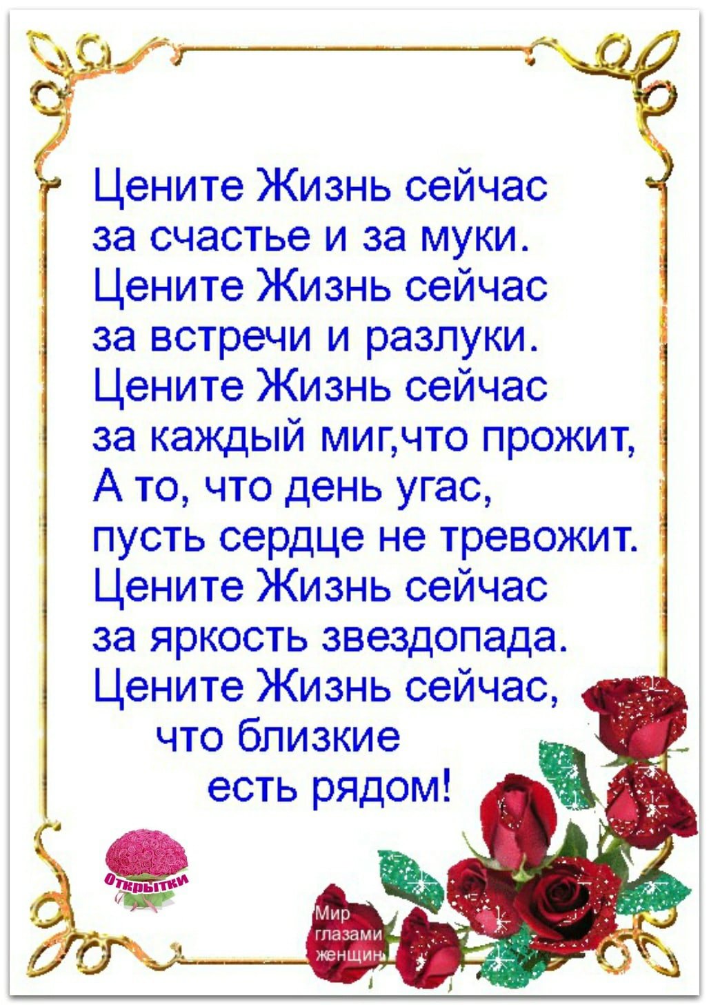 Цените жизнь стихи