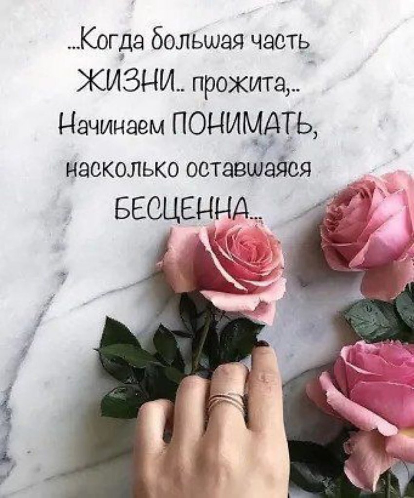 Красивые цитаты