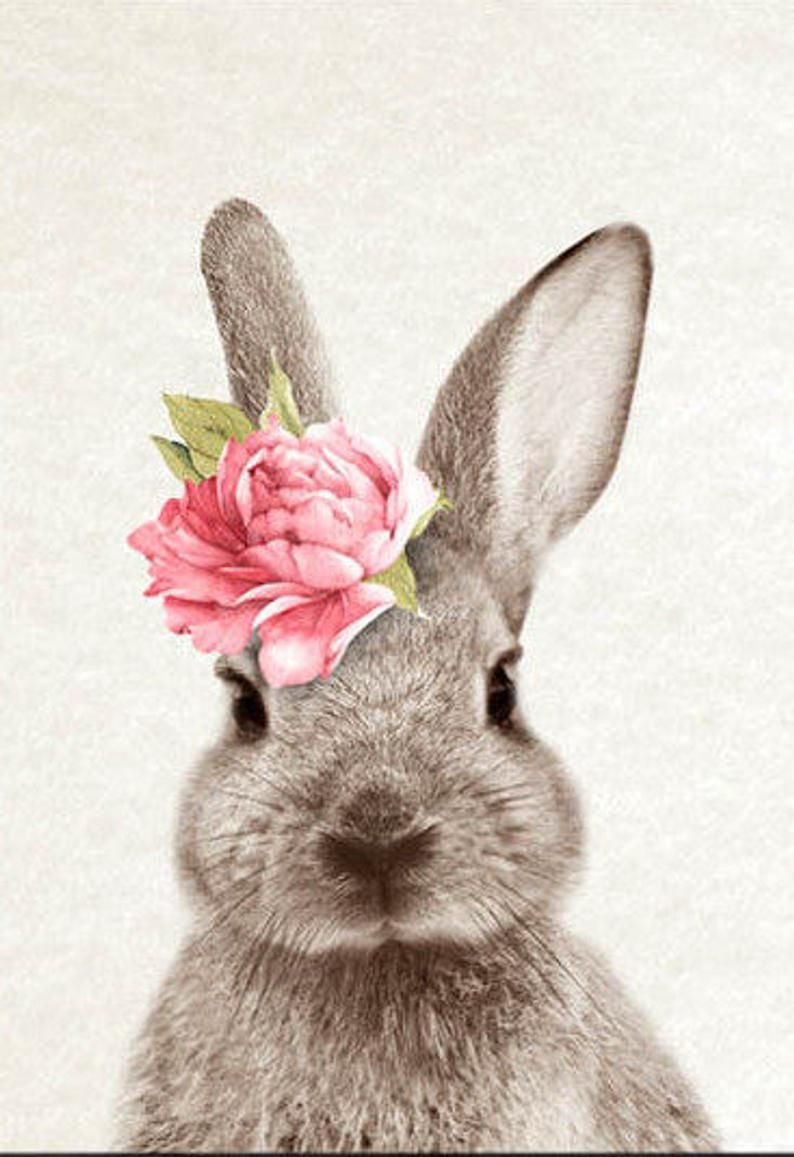 Зайчик анимация