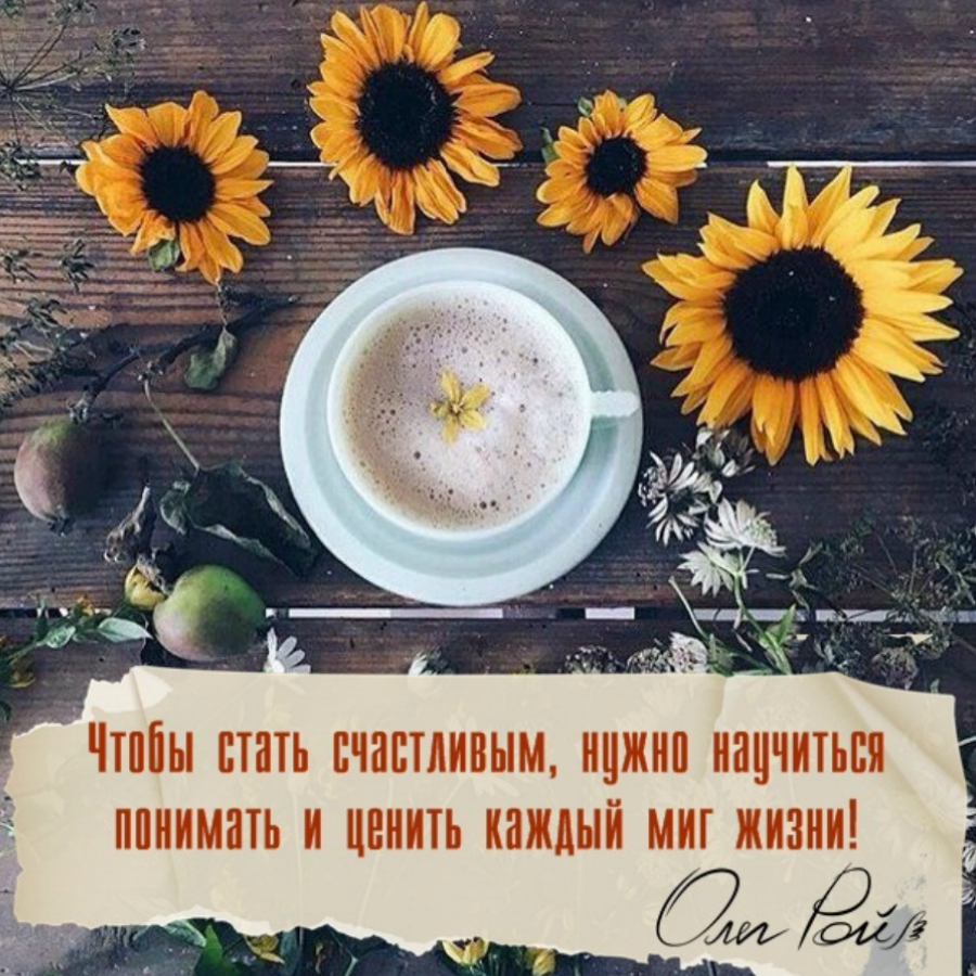 Цените каждый миг