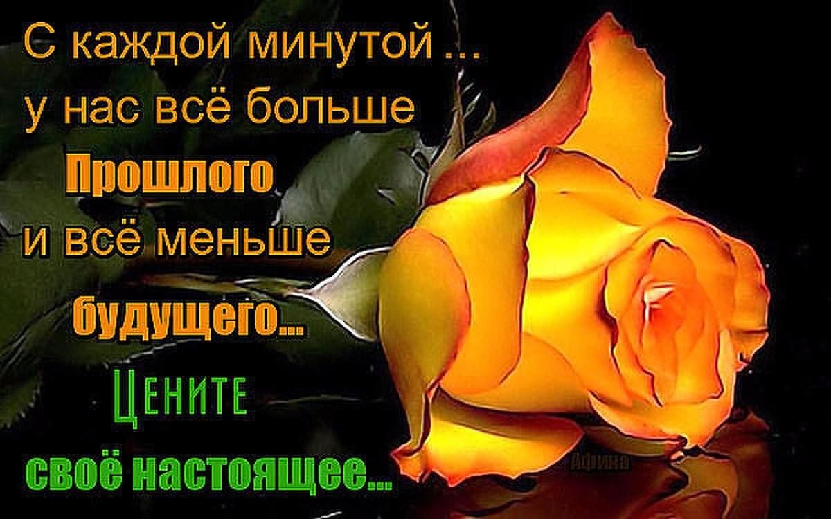 Цените каждый прожитый день