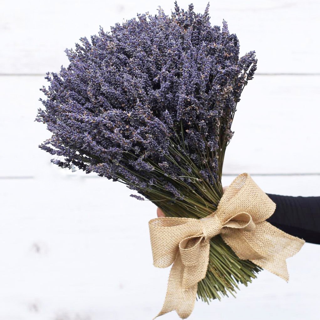 Сухоцветы "Лаванда в крафте"
