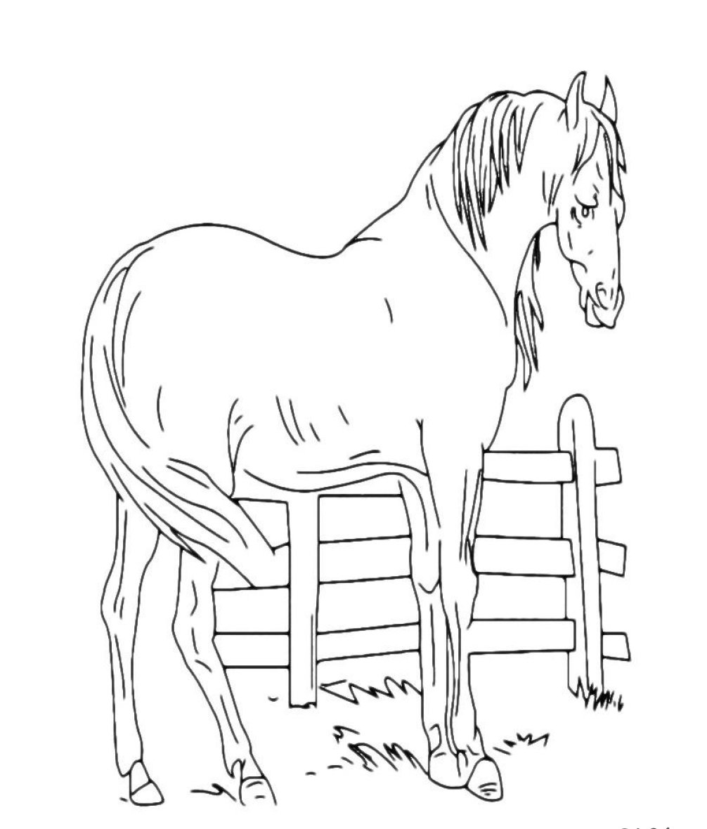 Паустовский теплый хлеб иллюстрации к произведению