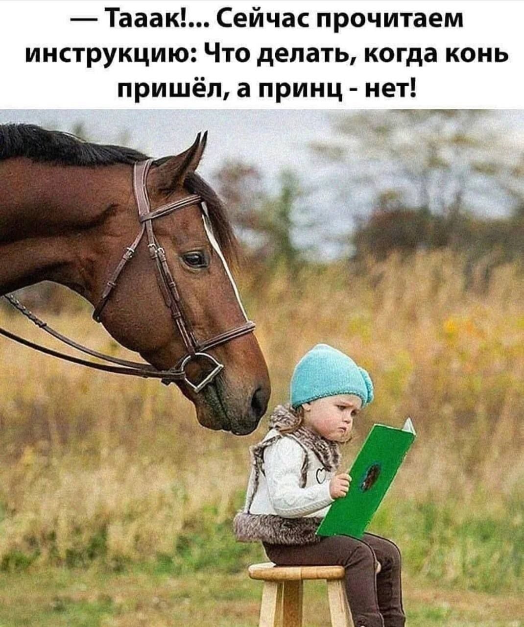 Иллюстрации к сказке Паустовского теплый хлеб