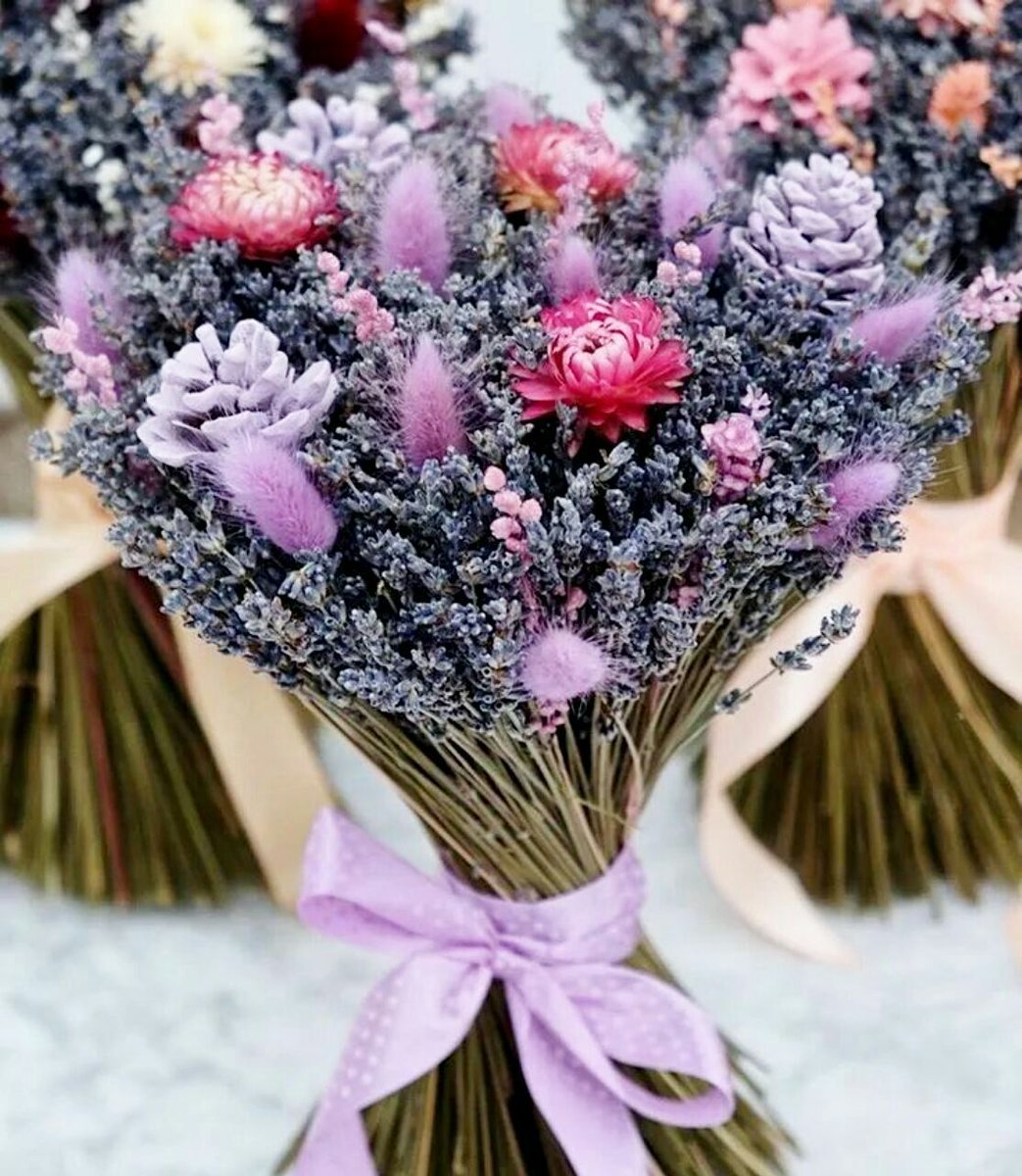 Центаурея сухоцвет