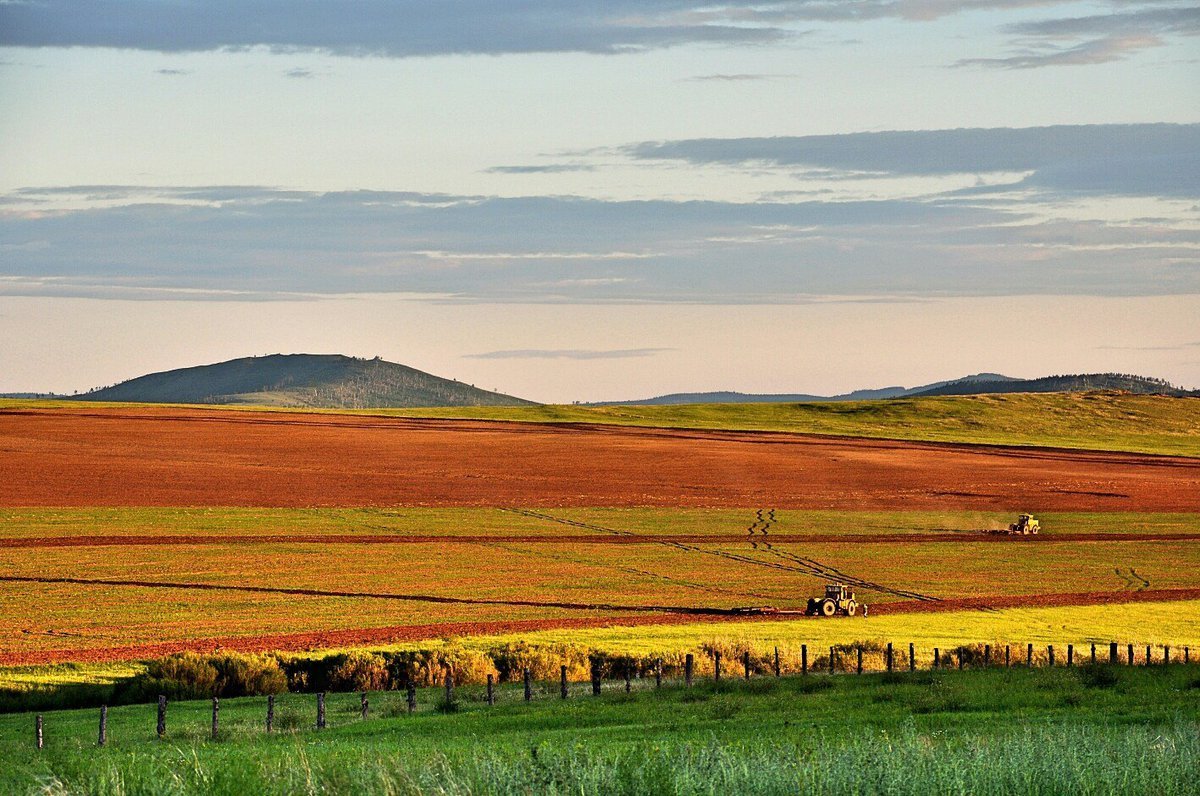 Природа Забайкалья степь