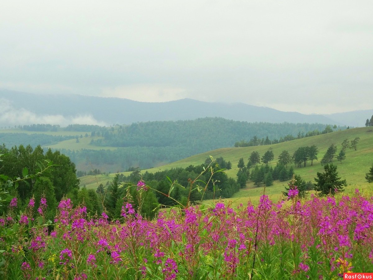 Природа Сретенского района