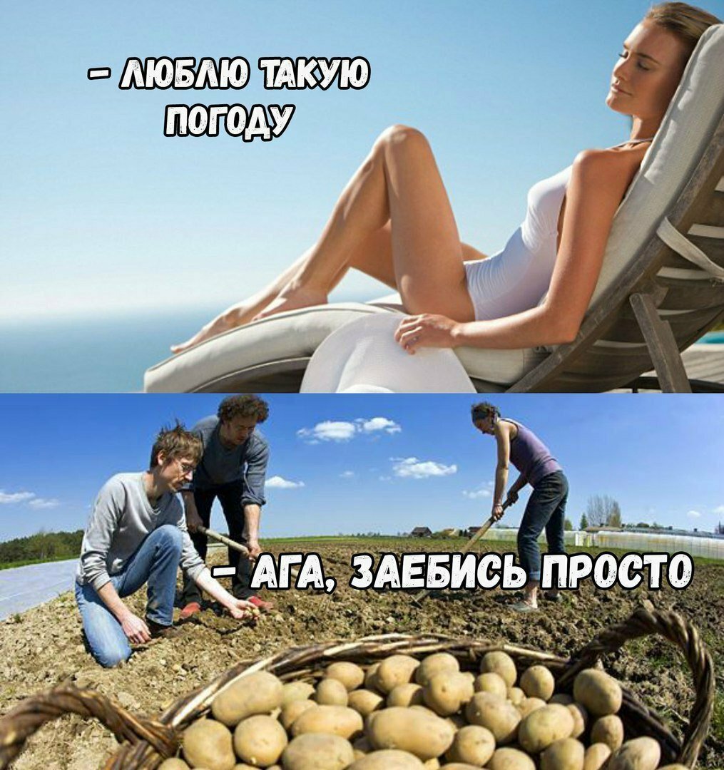 Убойный юмор в картинках
