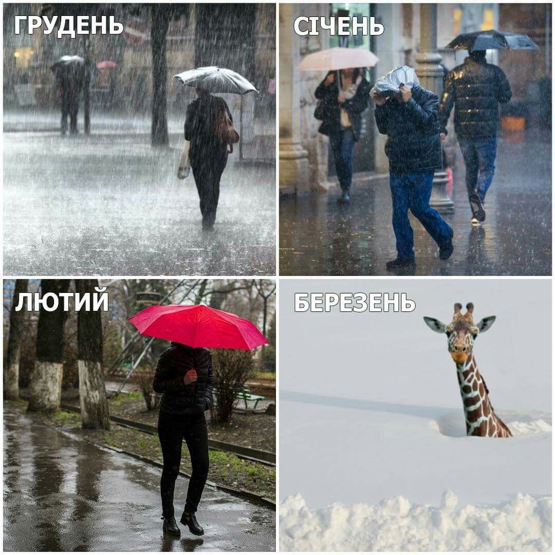 Ведущие погоды в разных странах