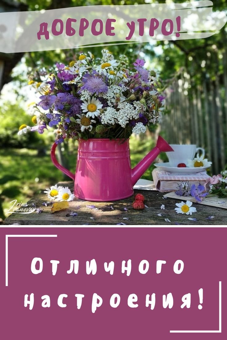 Открытки с добрым утром