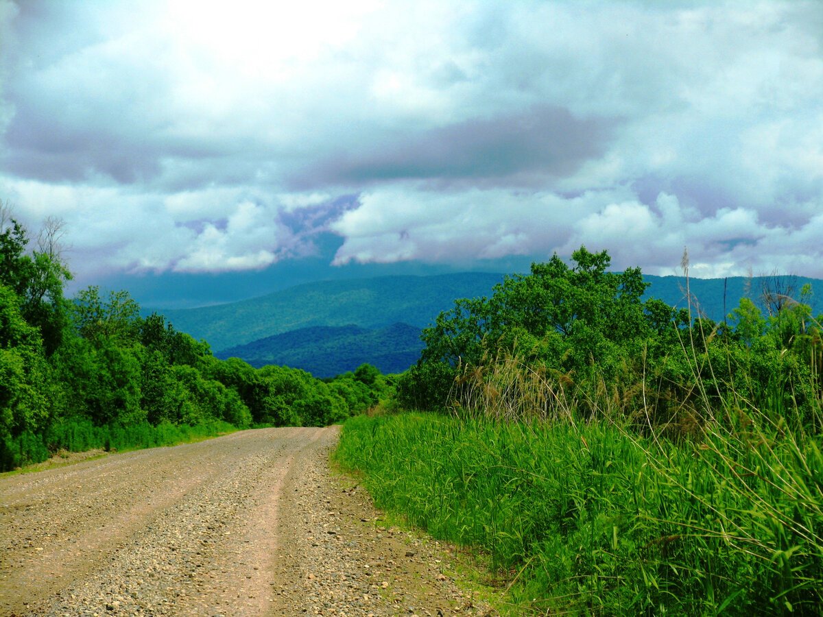 Природа Приморского края