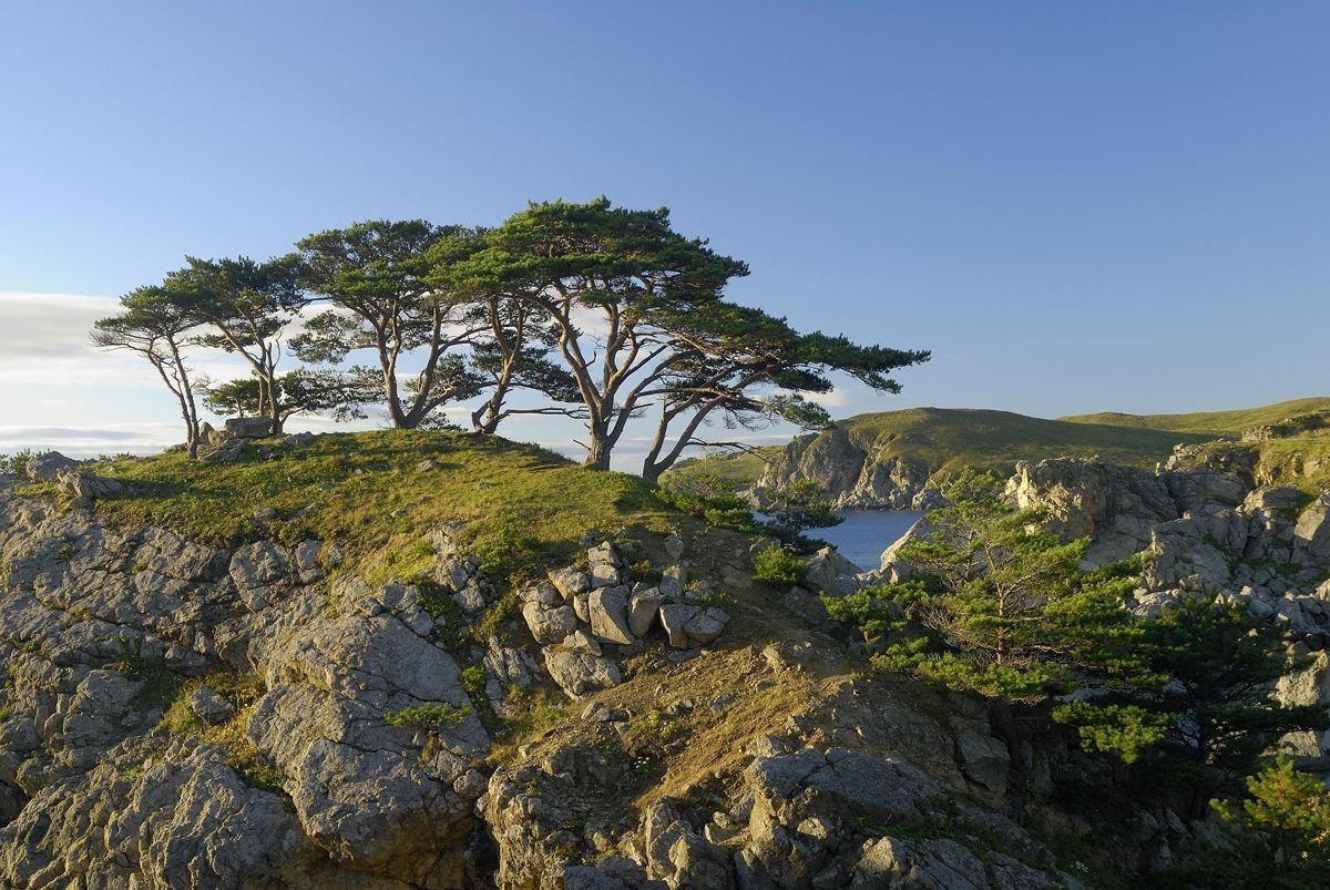 Голубиный Утес Дальневосточный морской заповедник