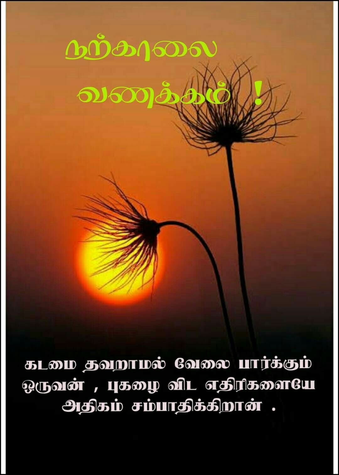 Жизнь замечательна и удивительна если замечать