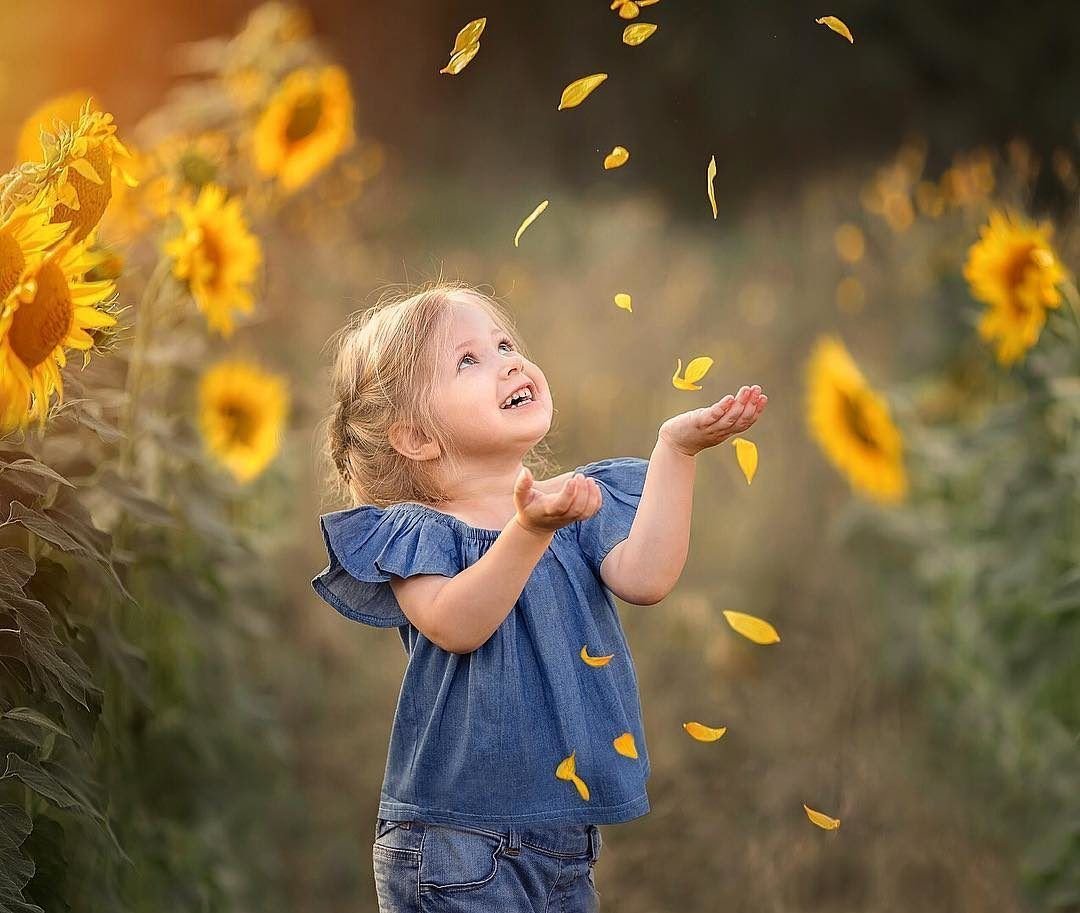 Солнце счастье радость