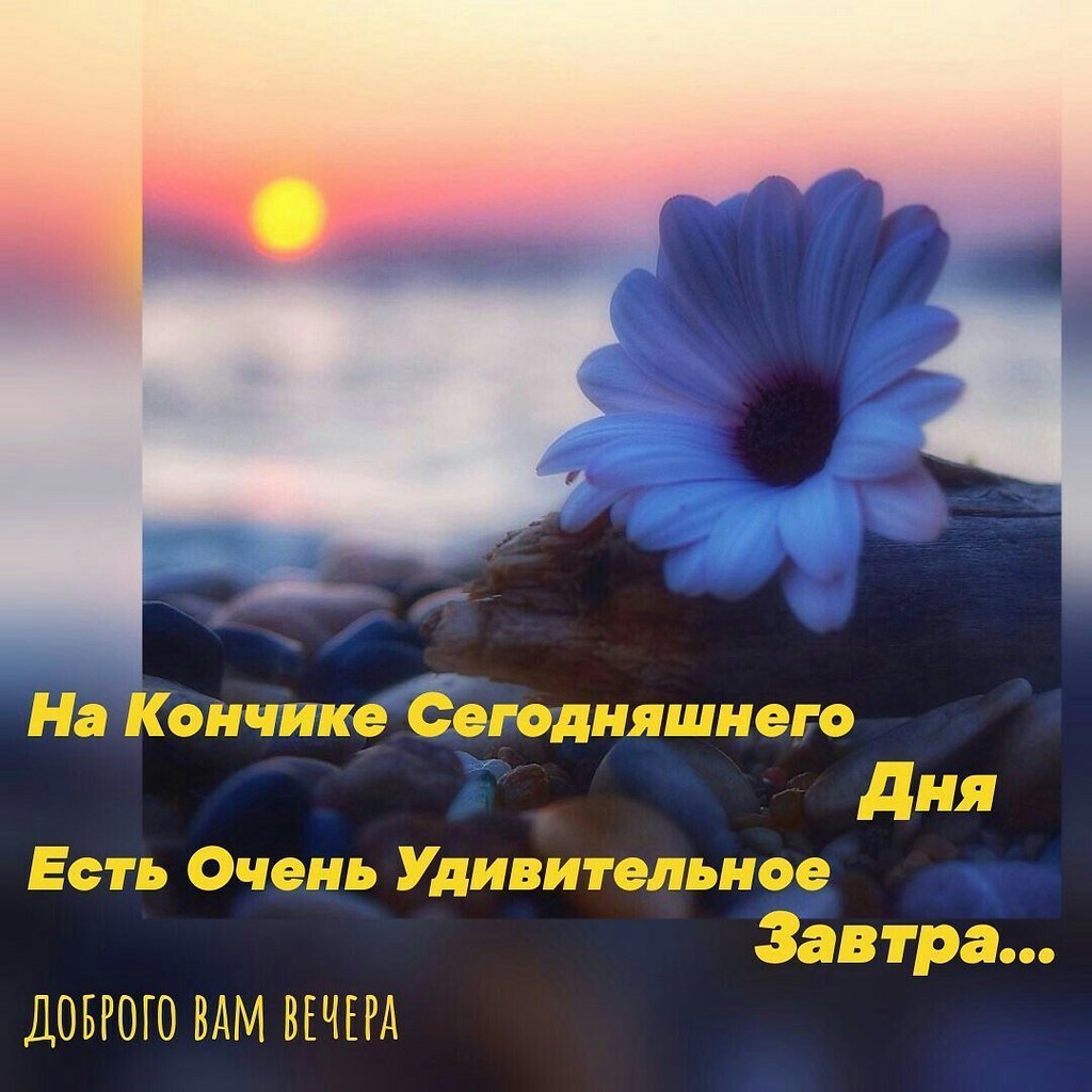 Прекрасные мгновения жизни