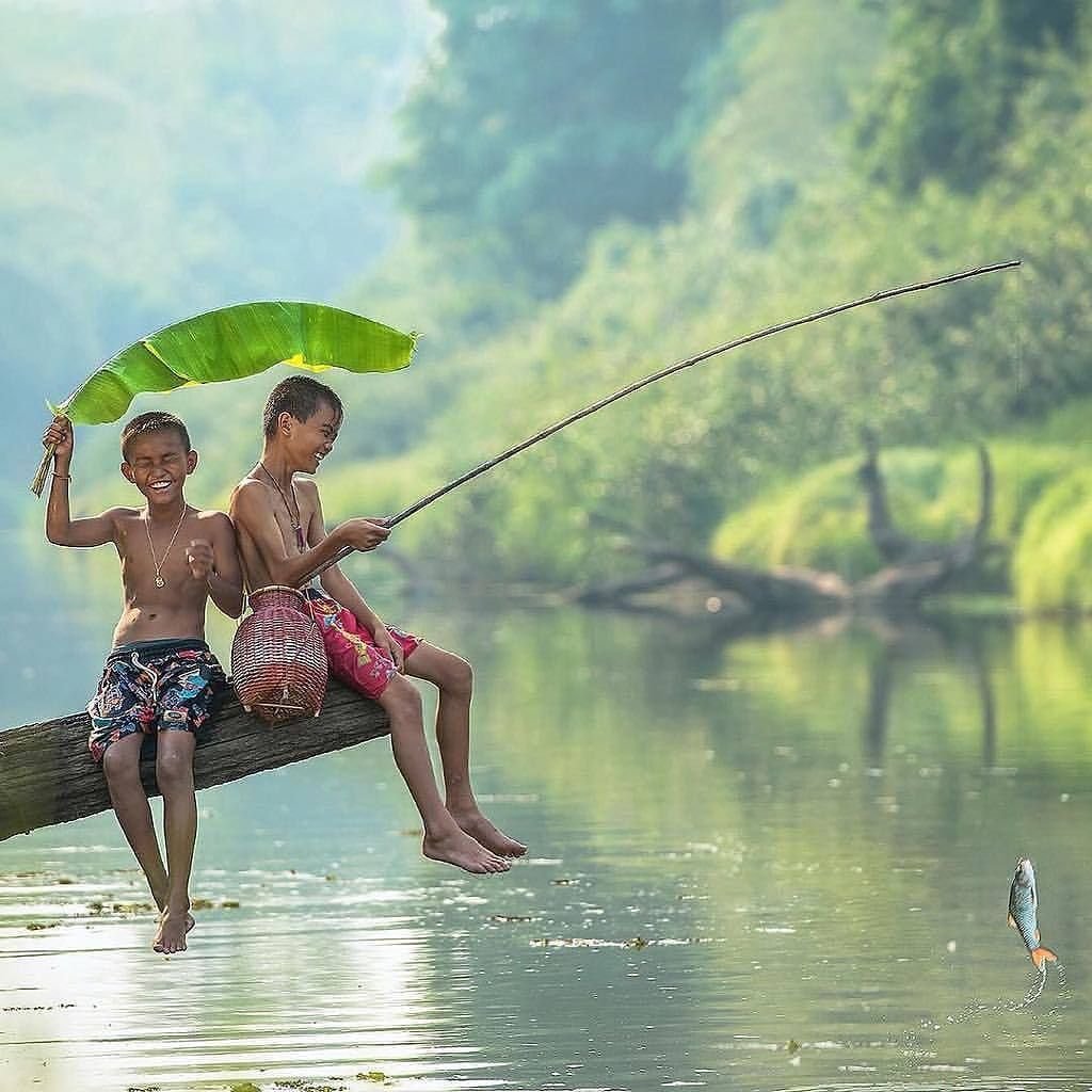 Жизнь прекрасна и удивительна картинки