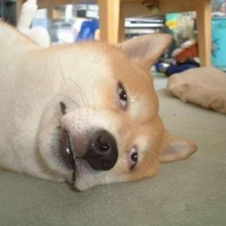 Я после тренировки