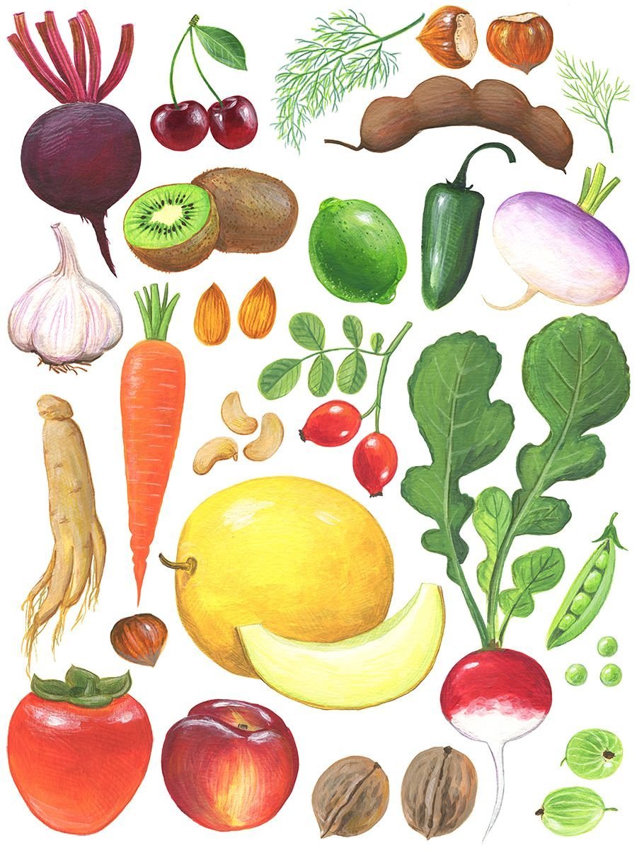 Овощи рисунок