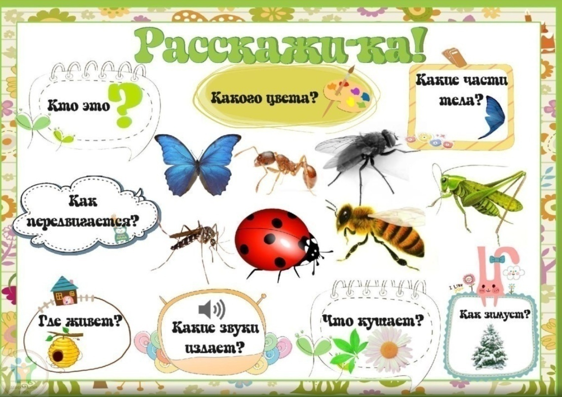 Насекомые для дошкольников