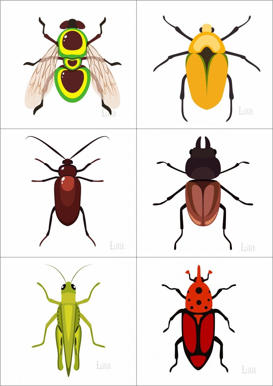Материал счетный «насекомые»