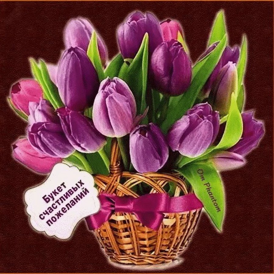 Мудрые пожелания с добрым утром