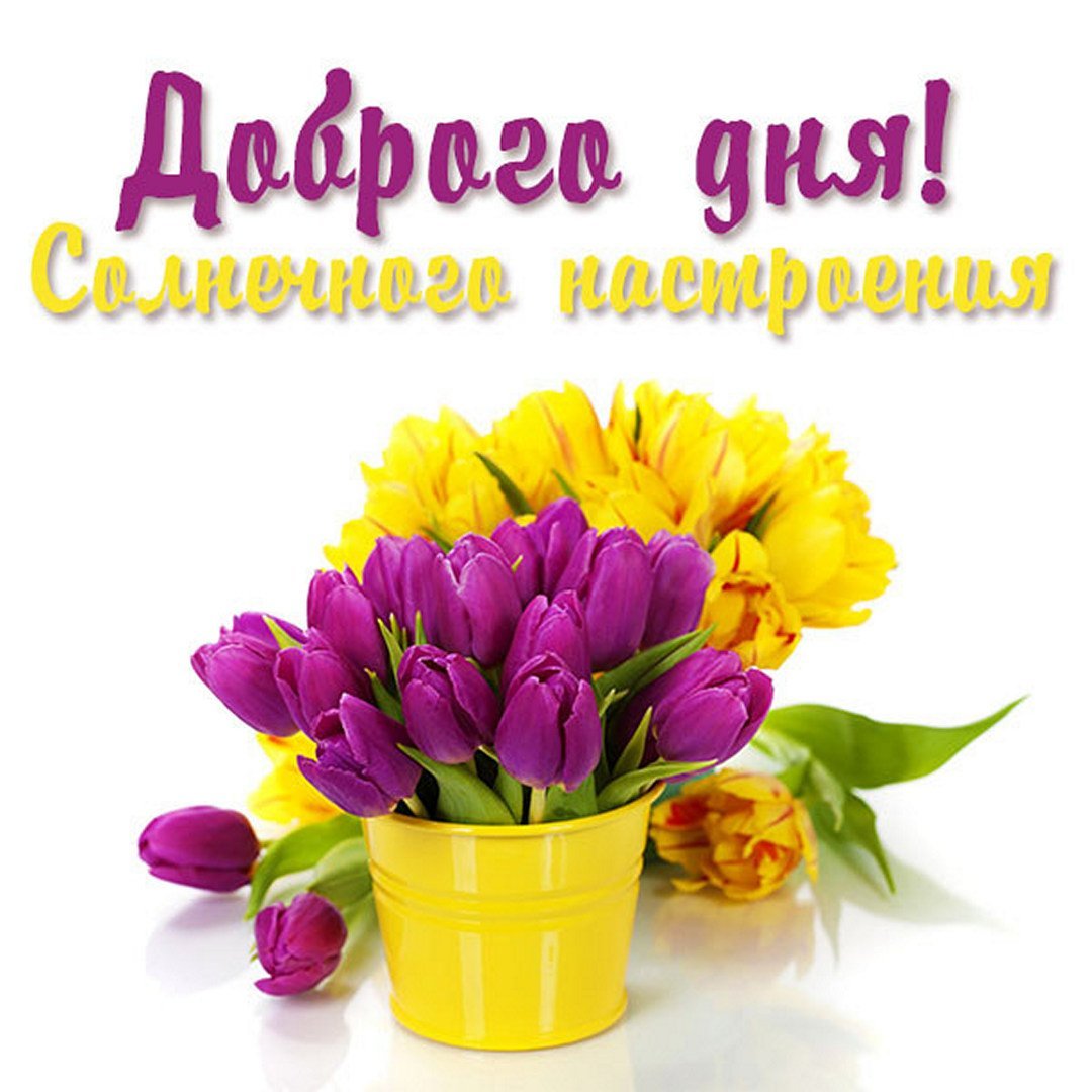 Доброе утро желтые тюльпаны