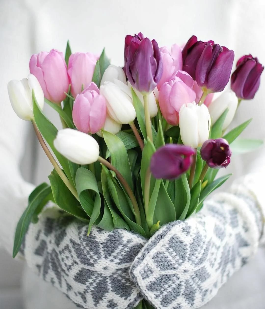 Доброе утро белые тюльпаны