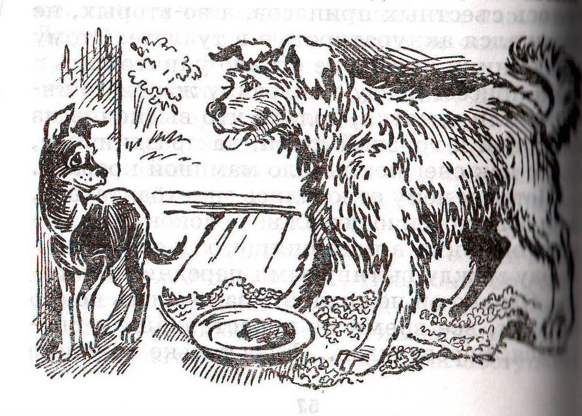 Барбос и Жулька раскраска для детей