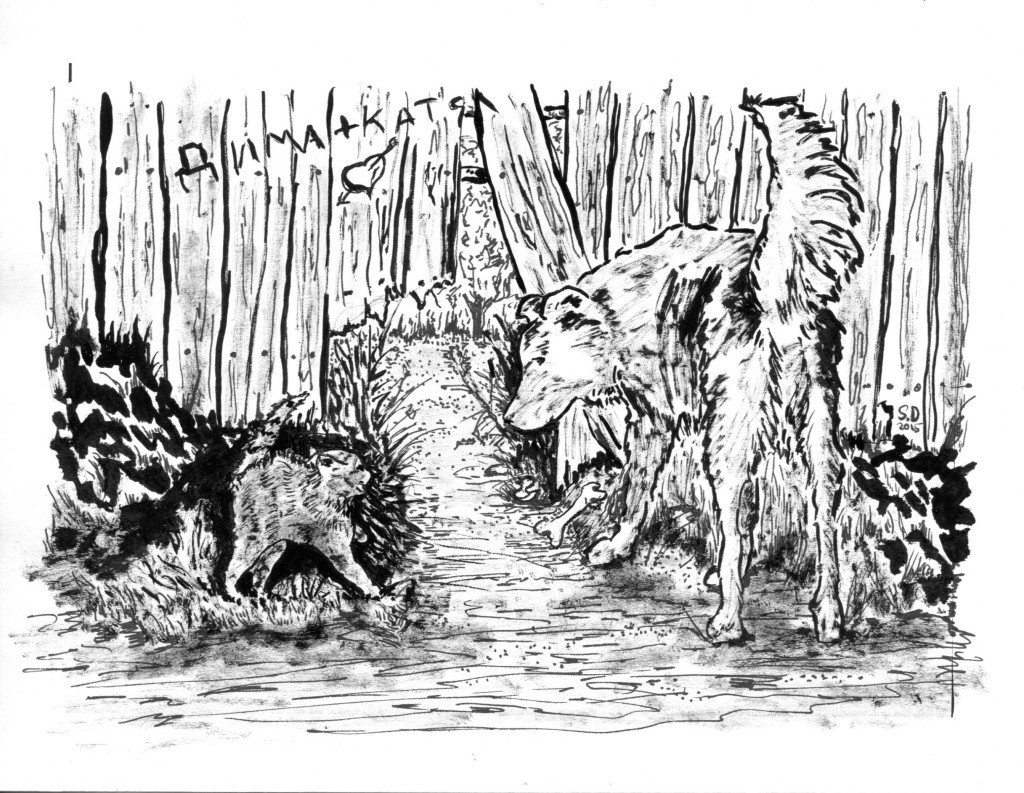 Куприн Барбос