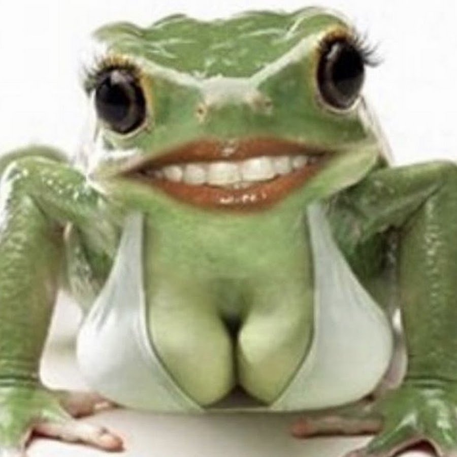 Открытки с лягушками прикольные