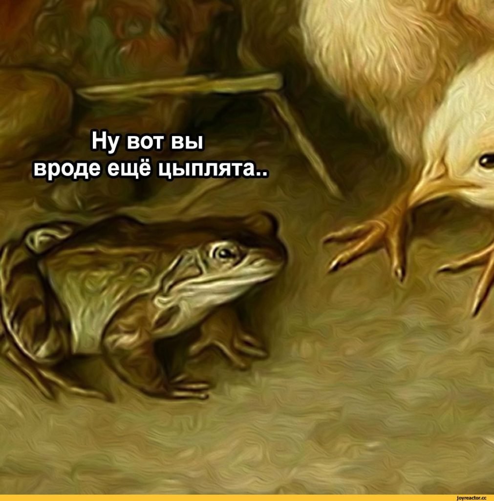 Цыпленок и жаба