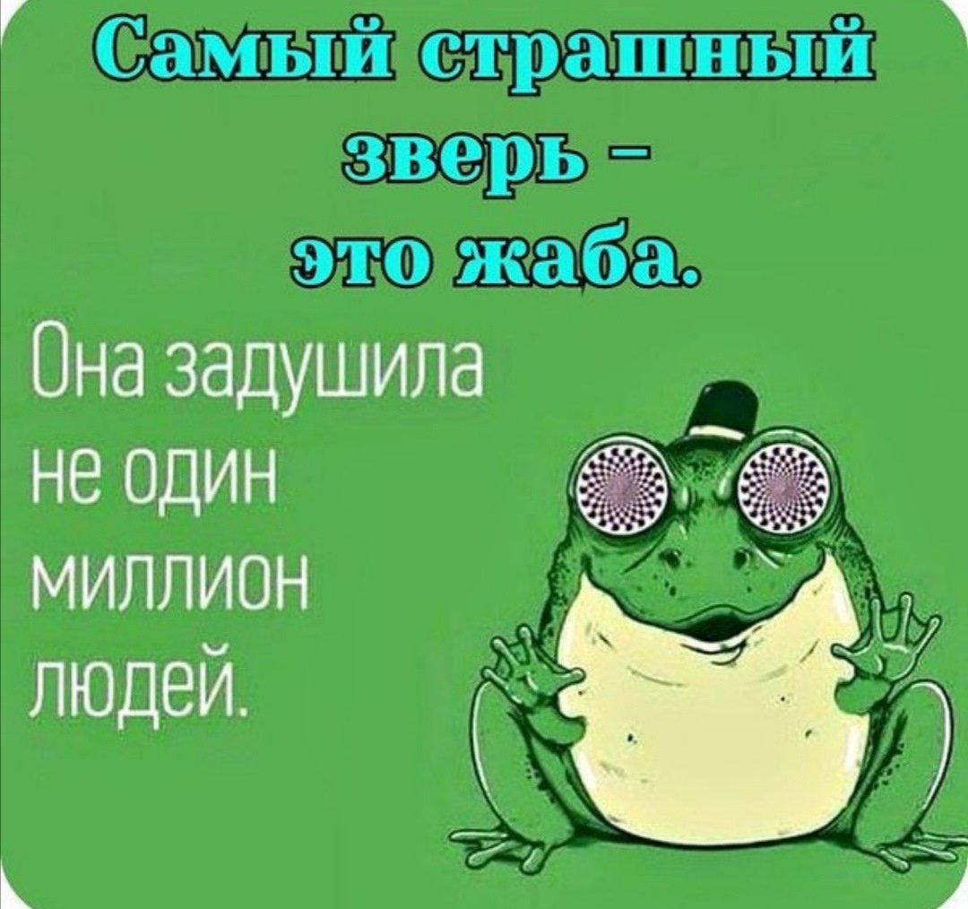 Высказывания про лягушек