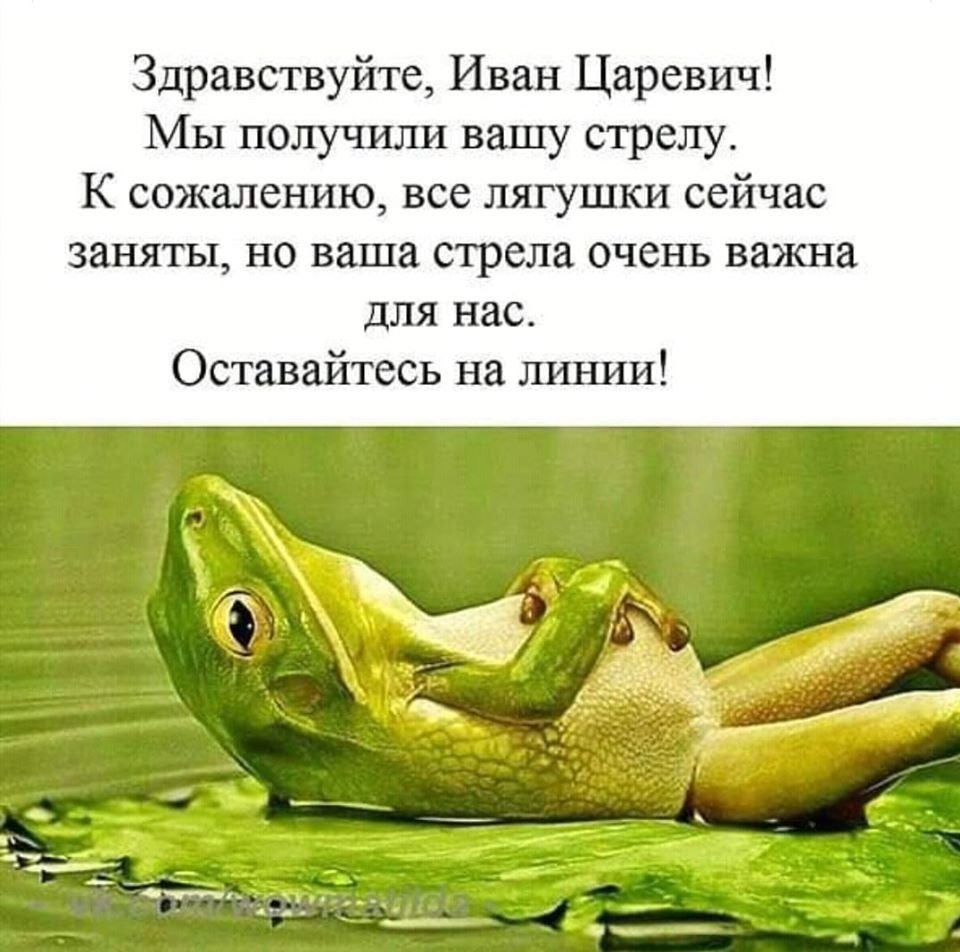 Анекдот про лягушку