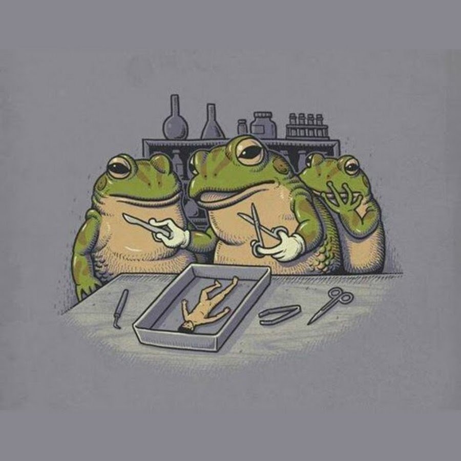 Жаба душит карикатура