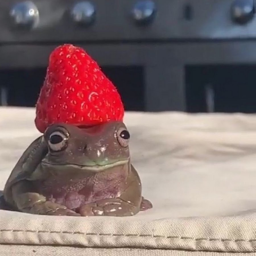 Самый страшный человек цитата