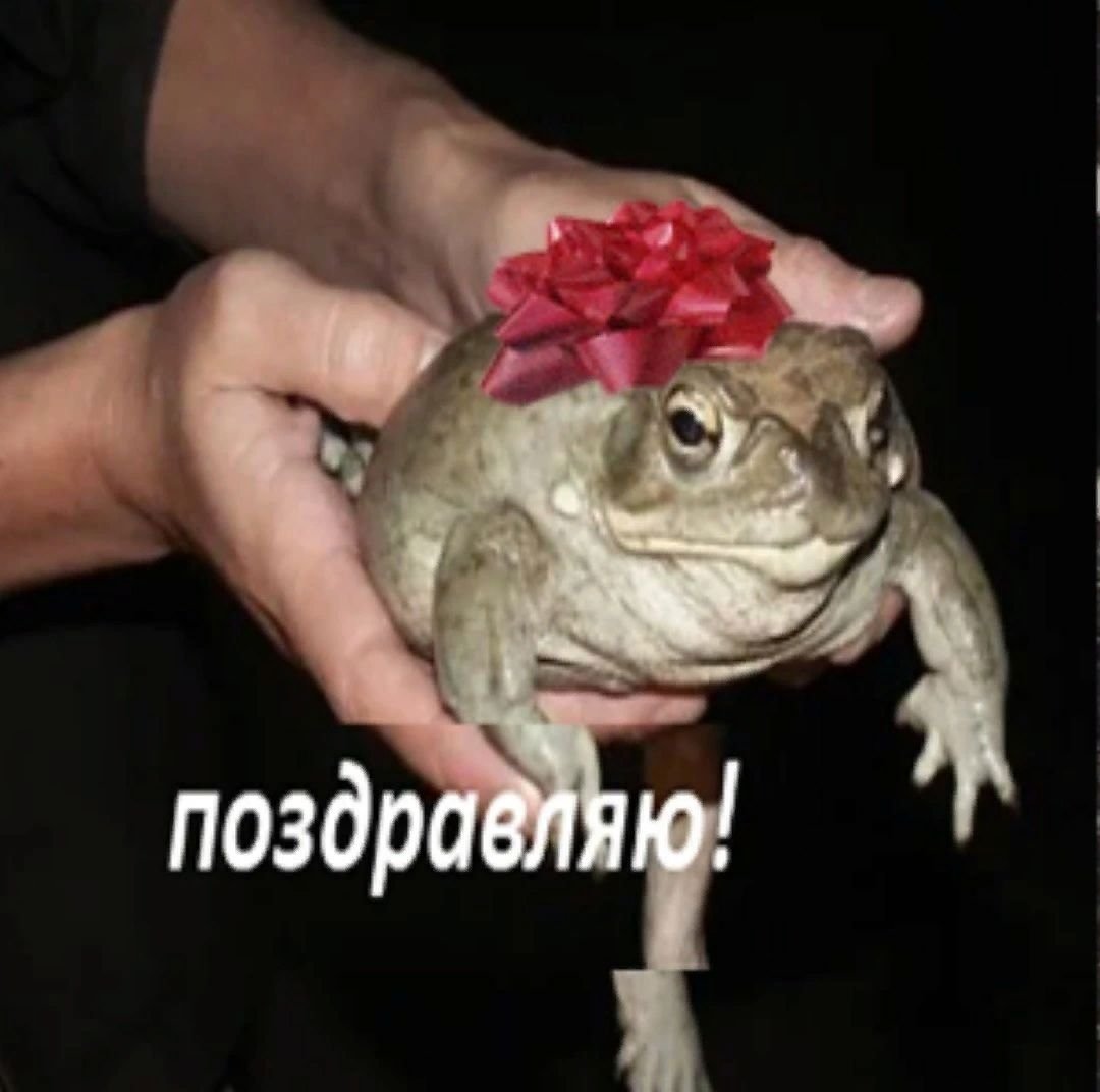 Жабка с клубникой на голове