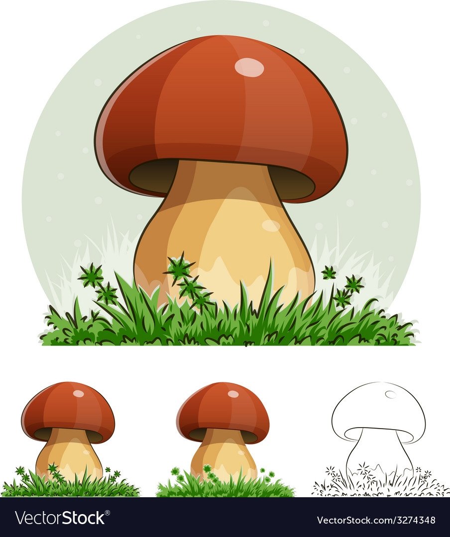 Грибы большие и маленькие