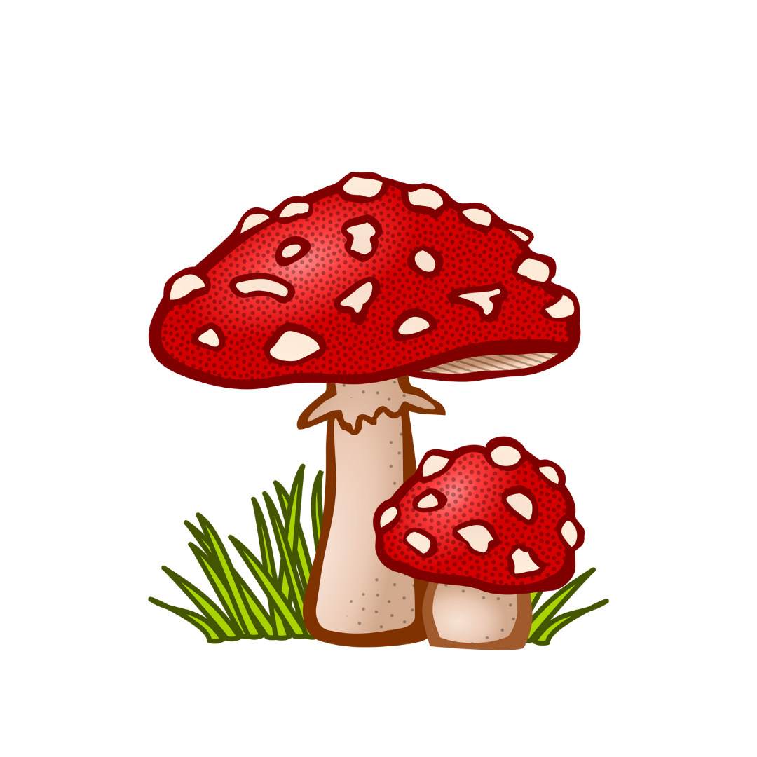 Мухомор арт на прозрачном фоне