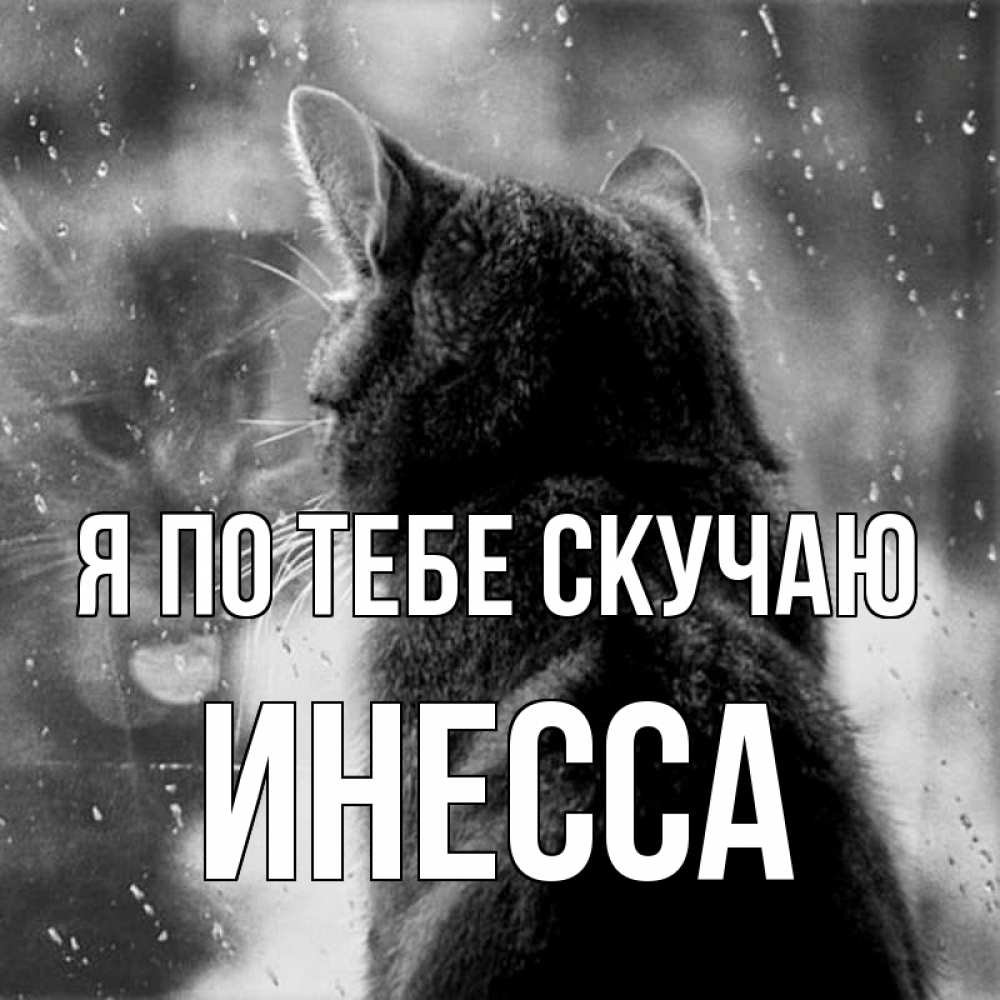 Я очень скучаю по тебе
