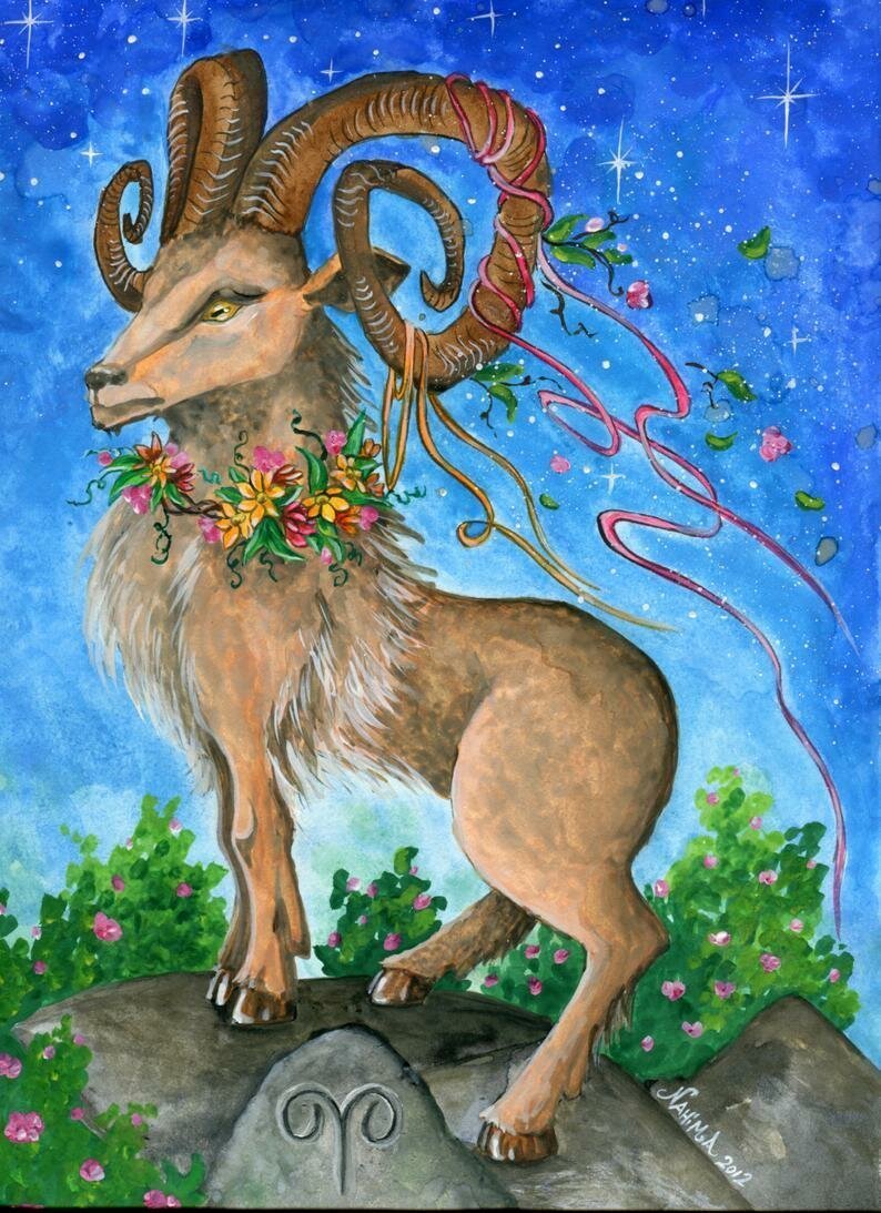 Овен знак зодиака рисунок