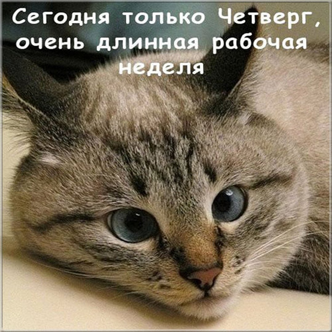 С четвергом прикольные