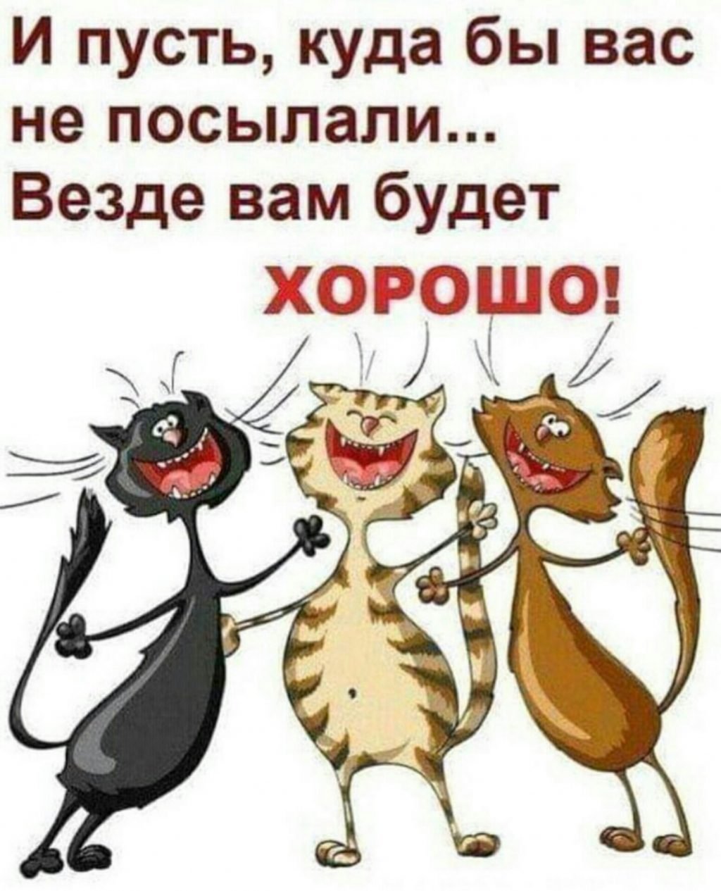 Веселые открытки