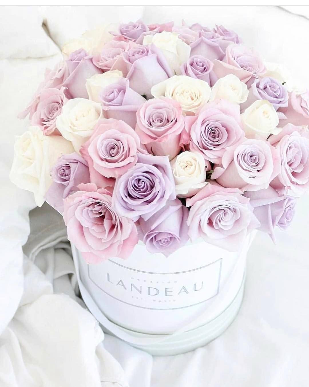 С днём рождения девушке нежные цветы