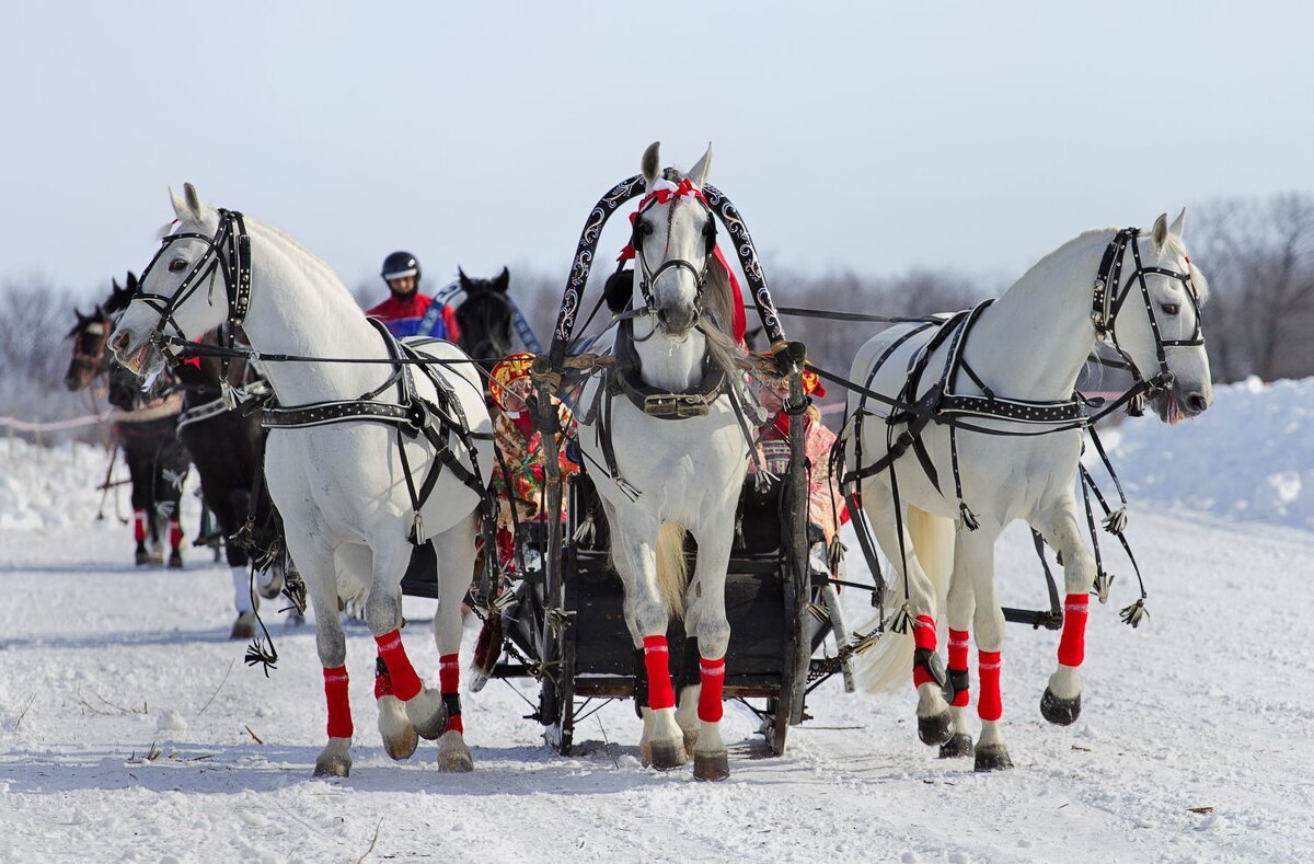 Глухарёв Алексей Николаевич картины