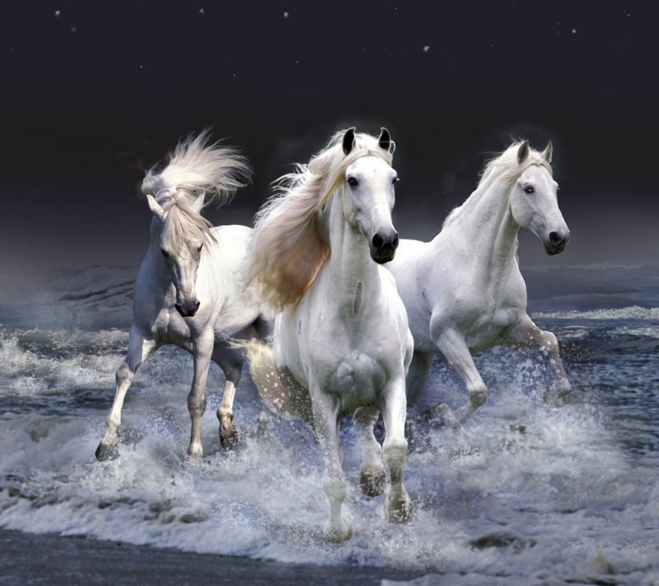 Васнецов тройка