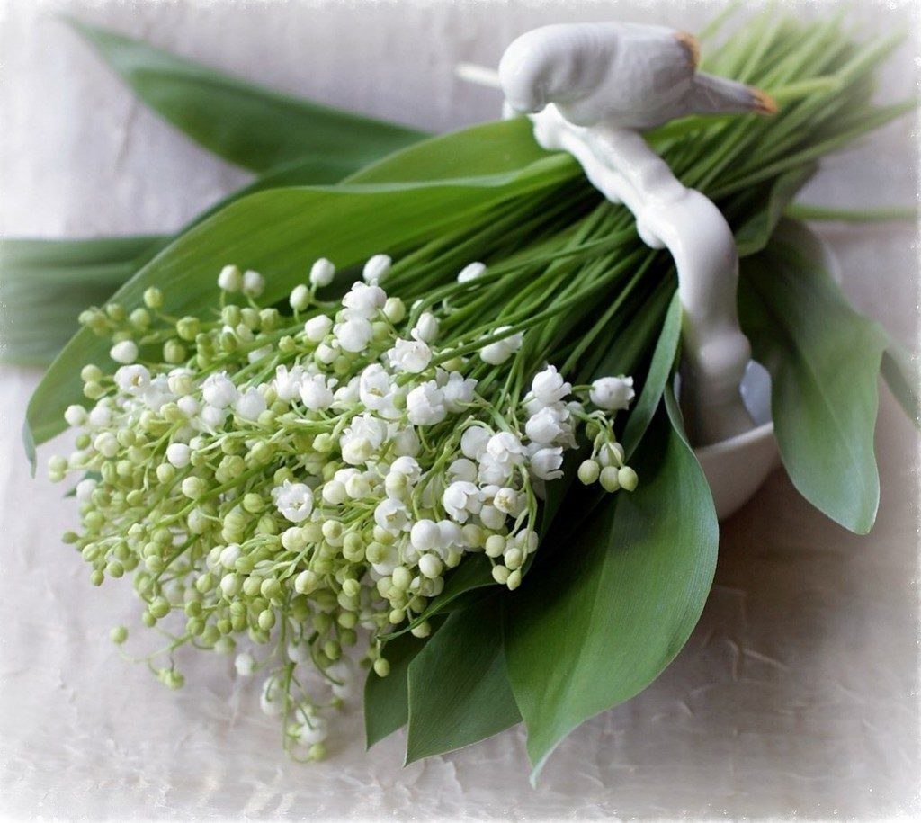 День ландышей 19 мая