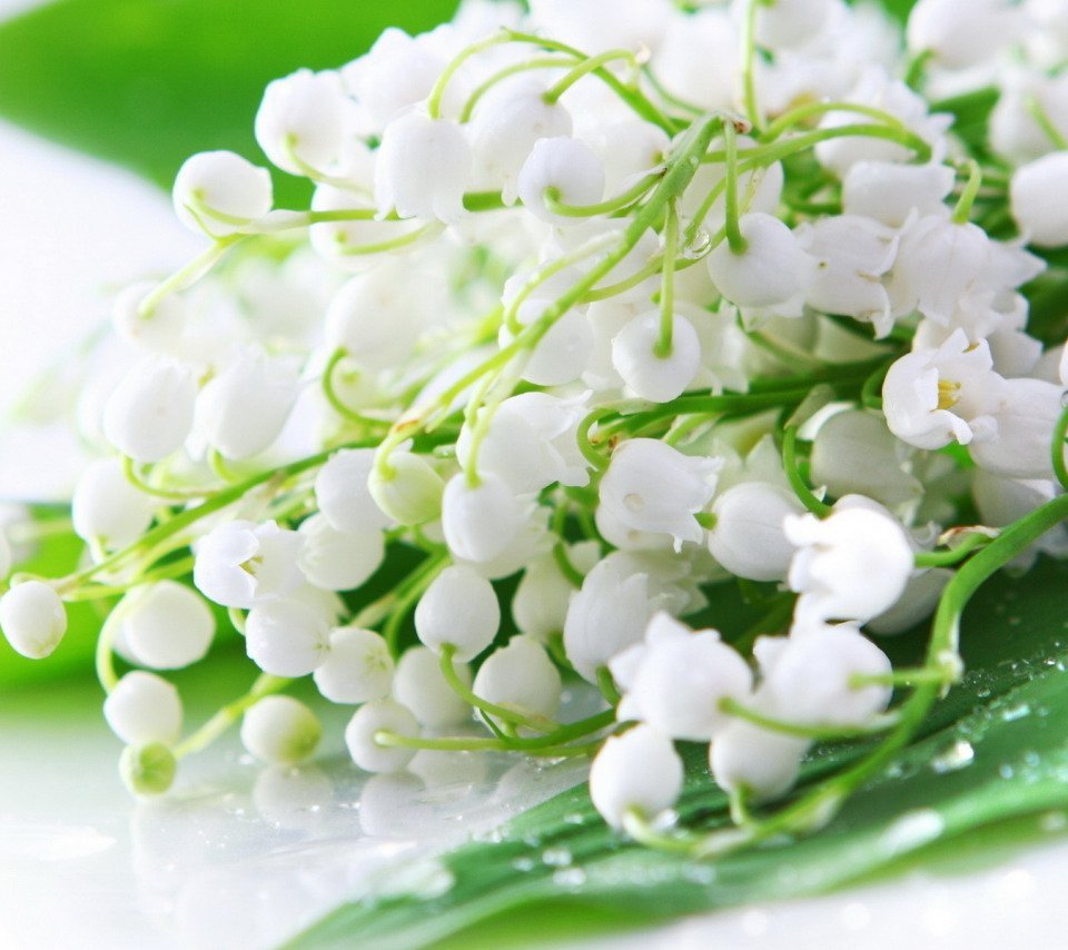 С днём рождения Ландыши